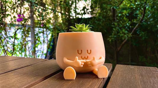 BOBBY PLANTER / UWU PLANTER / SUCCULENT PLANTER / HAPPY FACE PLANTER