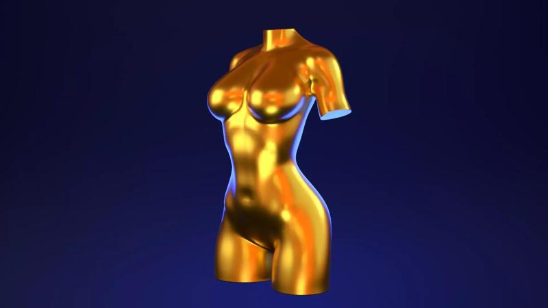 Female Torso 5