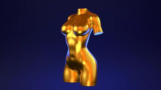 Female Torso 5