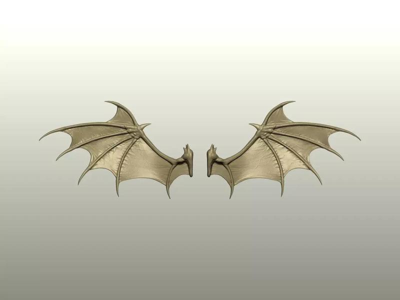 Fantasy Creature Wing 05
