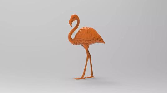 Flamingo