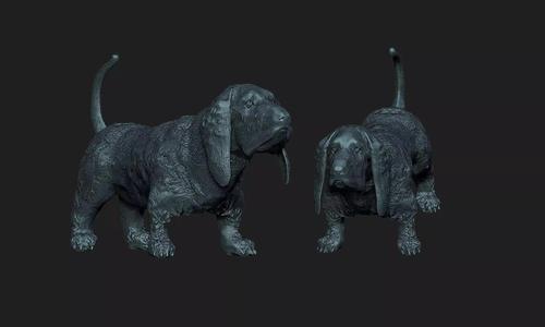 basset dog