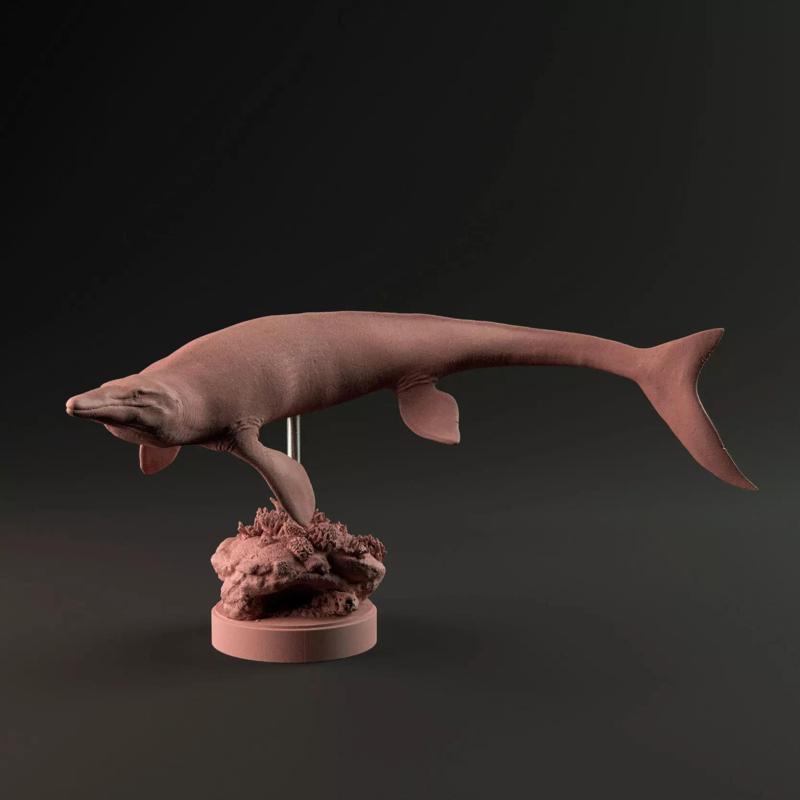 Tylosaurus swimming 1-35 scale pre-supported