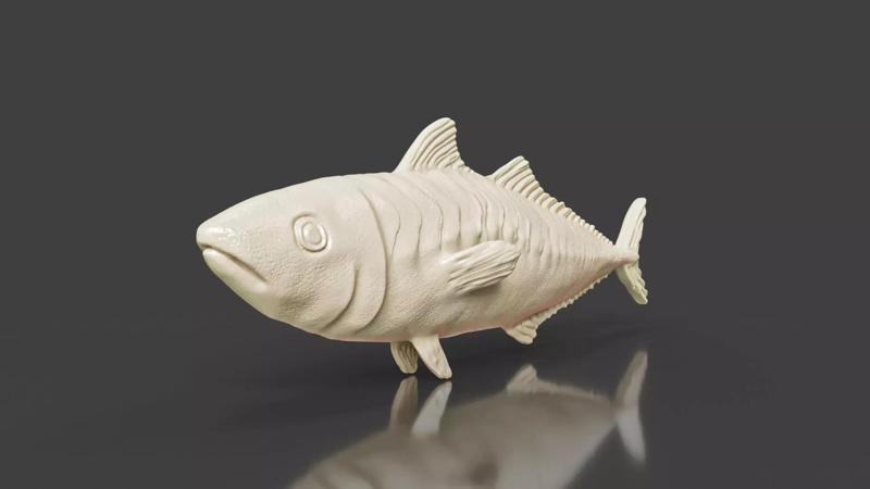 Sea Animal Sardine Mackerel Fish