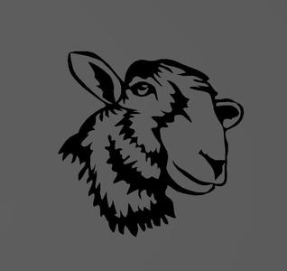 Mouton - Sheep - 2D