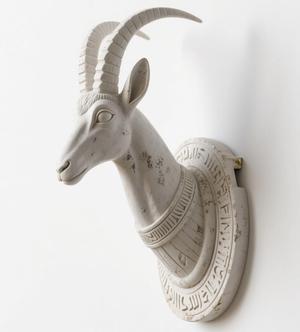 antelope