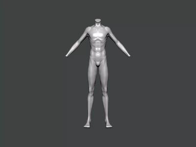 3D Model-ANATOMY0026 male mannequin
