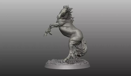 Horse pose 01