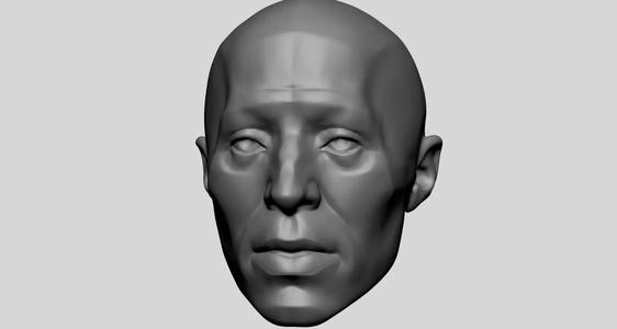 Base Male Head Anatomy