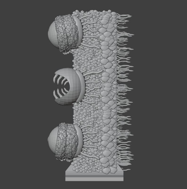 Terraria - 2.5d - Wall of Flesh