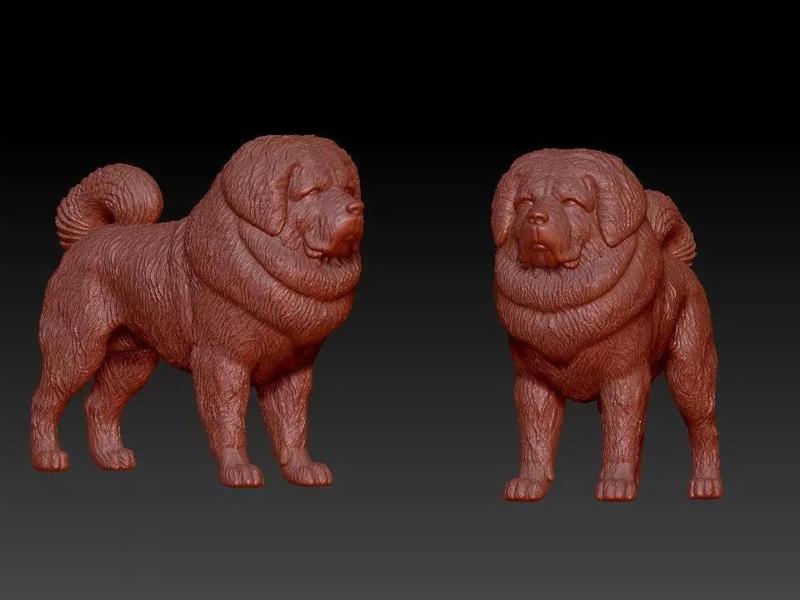 Tibetan Mastiff Dog - mastiff DOg model - 3D print