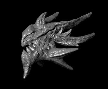 DRAGON 3D head