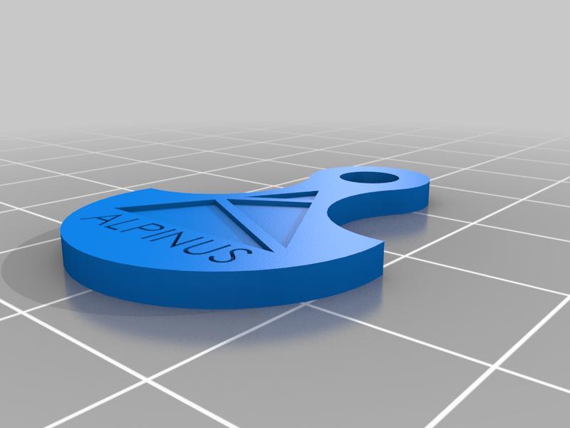 2zl polish złoty keychain