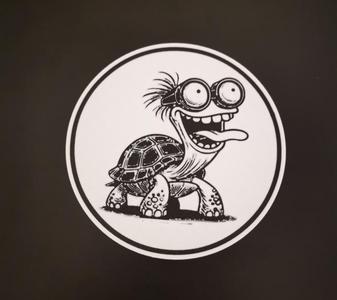 Crazy turtle coaster