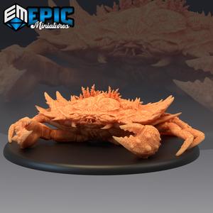 Giant Crab Coral / Sea Monster