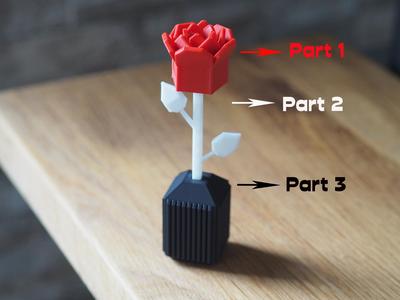 Rose with a vase