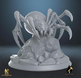 Giant Spider on rock
