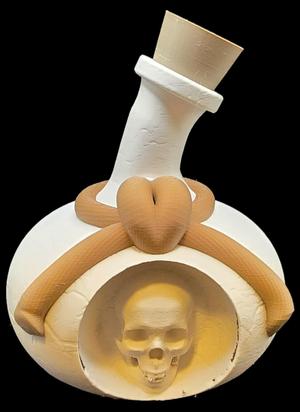 Skull Potion Bottle Dice Case