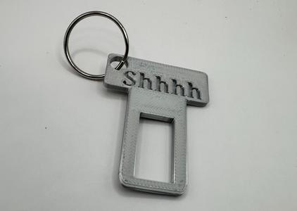 Seat Belt Plug