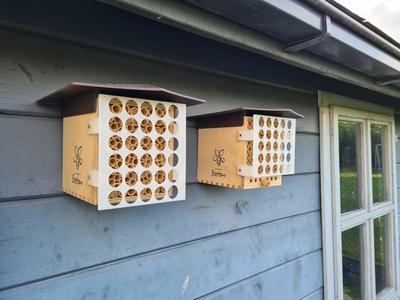 Bird protection for Beehome - large
