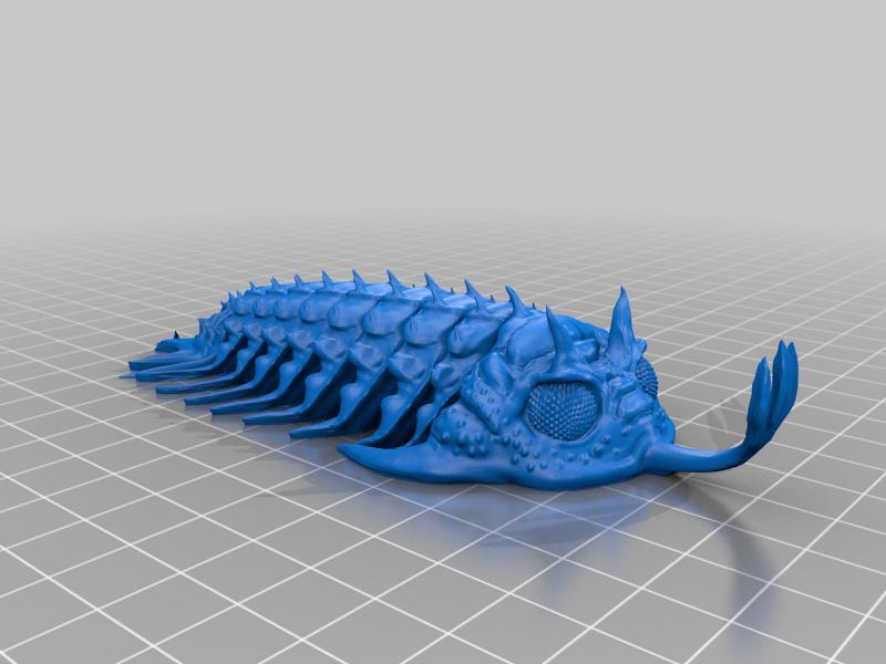 Walliserops Trilobite