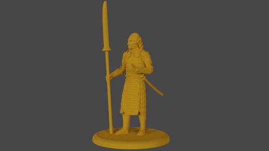 Samurai Warrior