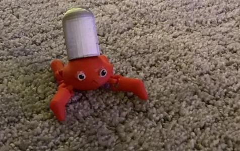 Little Articulated Hermit Crab Buddy   