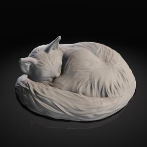 Sleeping cat