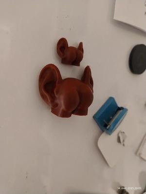 ass with ears fridge magnet   