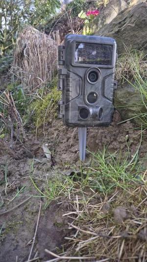 Wildlife camera peg   