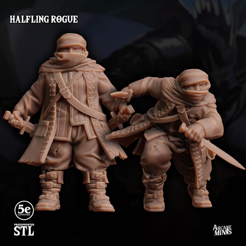 Halfling Rogue - Pirate