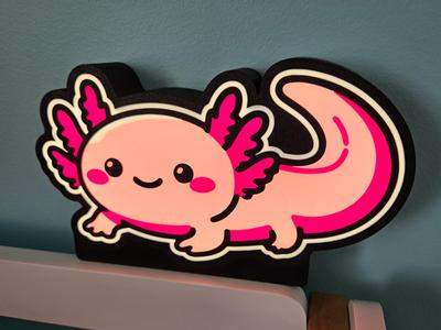 Axolotl Lightbox