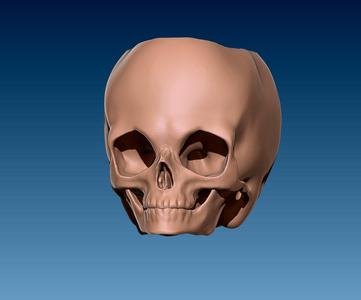 Toddler Skull Container