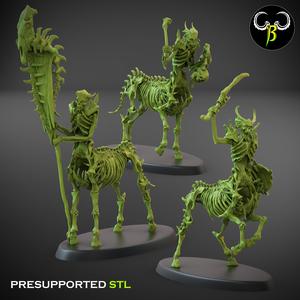 HemoCentaur Leader Set