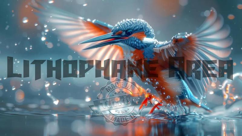 Sinek Kuşu Lithophane   