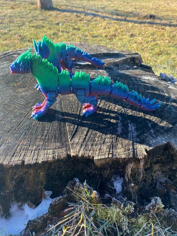 Winter Dragon