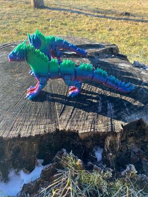 Winter Dragon