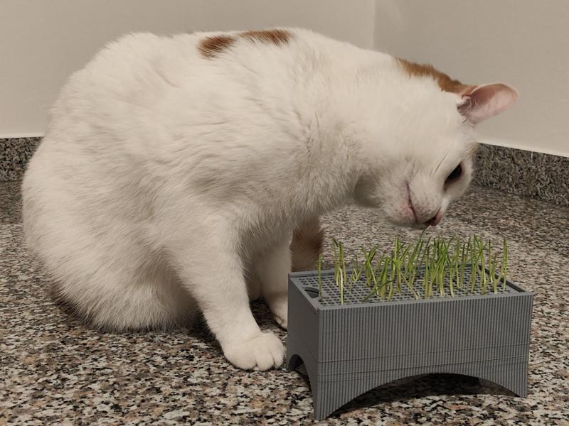Cat Grass Planter - A1 mini