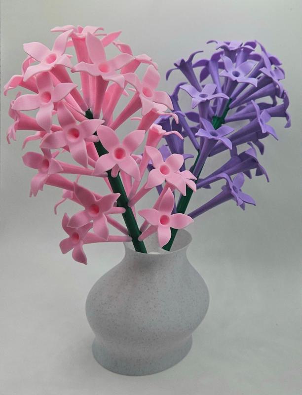 Lilac flower clusters