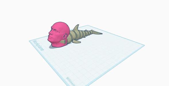 sharkdarock   