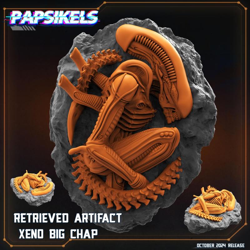 RETRIEVED ARTIFACT XENO BIG CHAP
