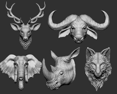 Animal Head