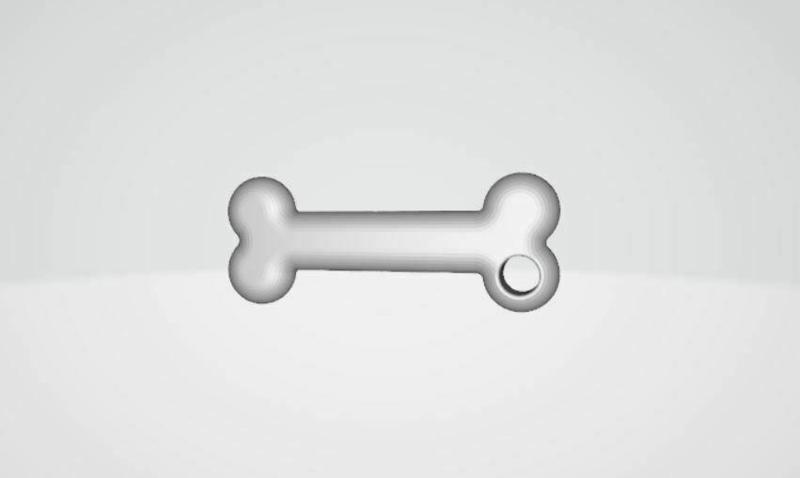 Dog bone keychain