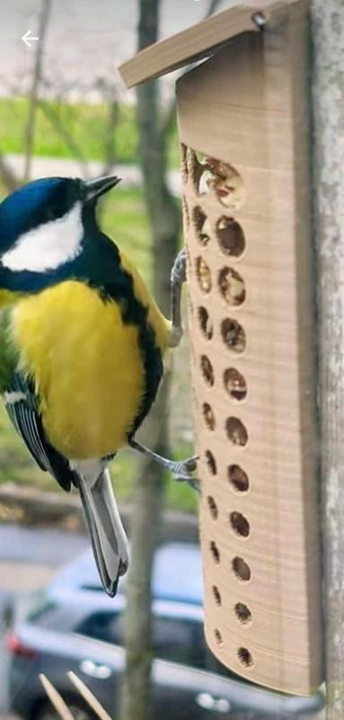 Bird feeder for window or wall \ Кормушка на окно или стену