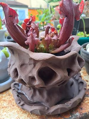 Pot alien pour plante alien   