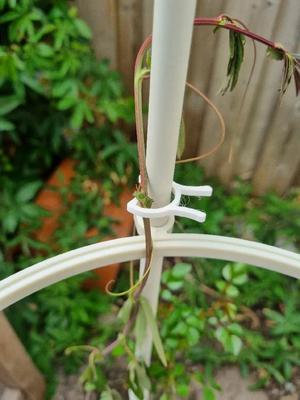 Plantclip   