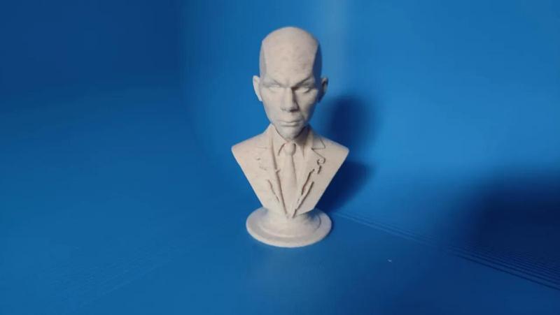 Bust Lex Luthor   