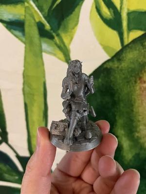 Rolion Merchant D&D miniature   