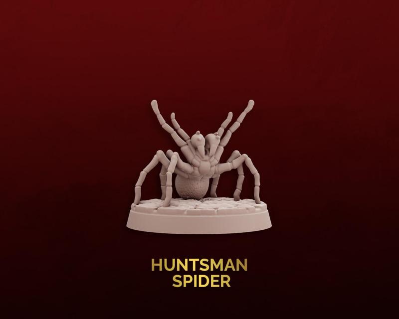Huntsman Spider