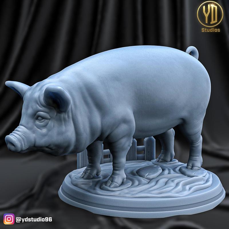 PIG